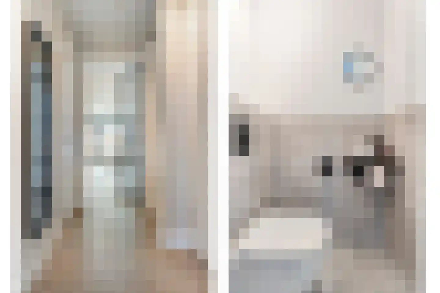 Cedule 20 Hardenberg thumbnail 8