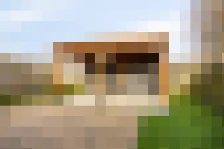 Cees Buddingh'hof 17 Hoorn thumbnail 21