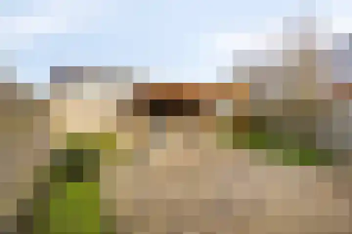 Cees Buddingh'hof 17 Hoorn thumbnail 4
