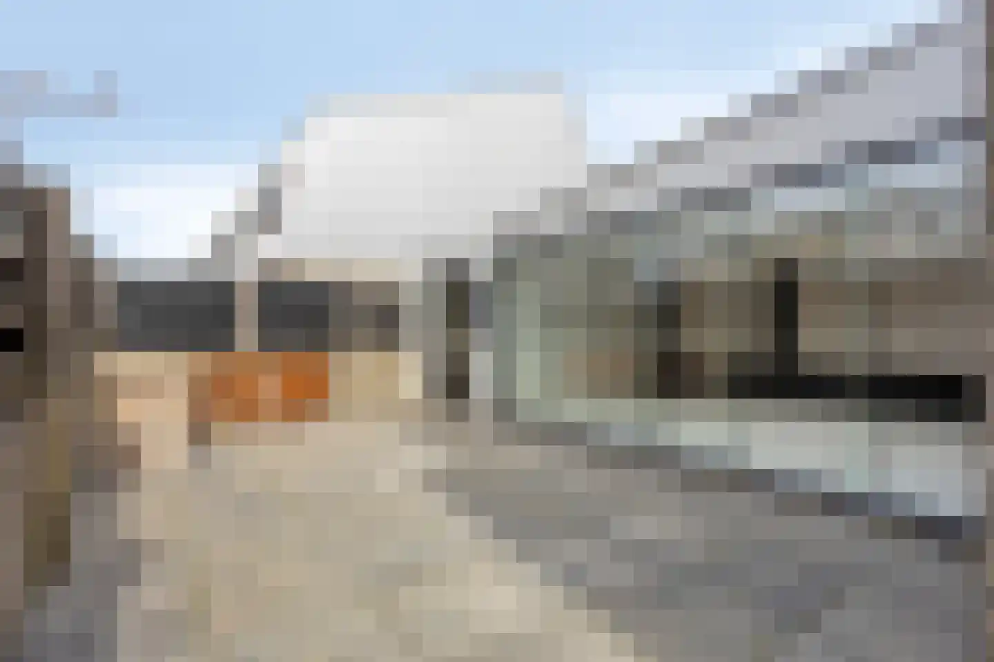 Cees Buddingh'hof 92 Hoorn thumbnail 39