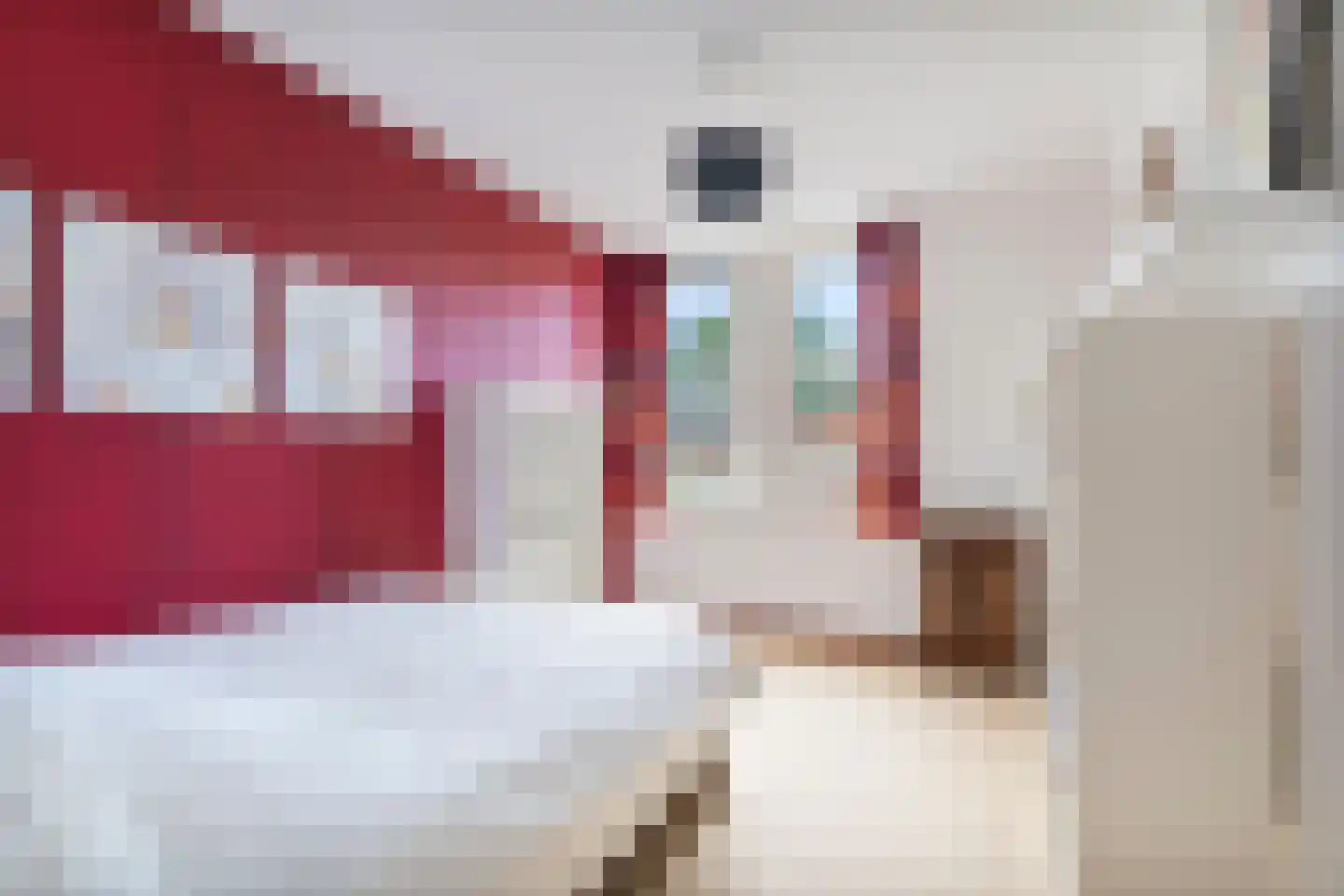 Cees de Jongstraat 20 Nijmegen thumbnail 23