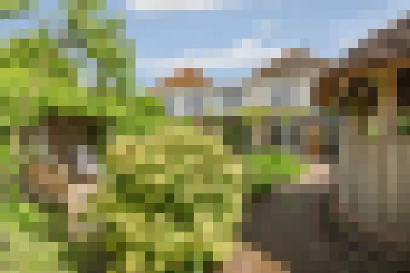 Cees de Jongstraat 20 Nijmegen thumbnail 47