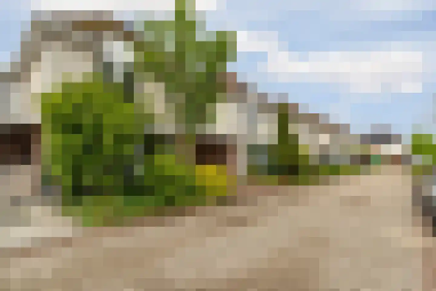 Cees de Jongstraat 20 Nijmegen thumbnail 53