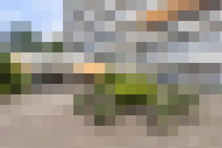 Cees Laseurlaan 1035 Den Haag thumbnail 12