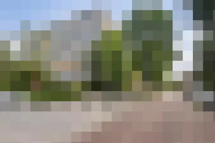 Cees Laseurlaan 1035 Den Haag thumbnail 13