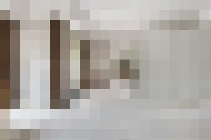 Cees Laseurlaan 1035 Den Haag thumbnail 6