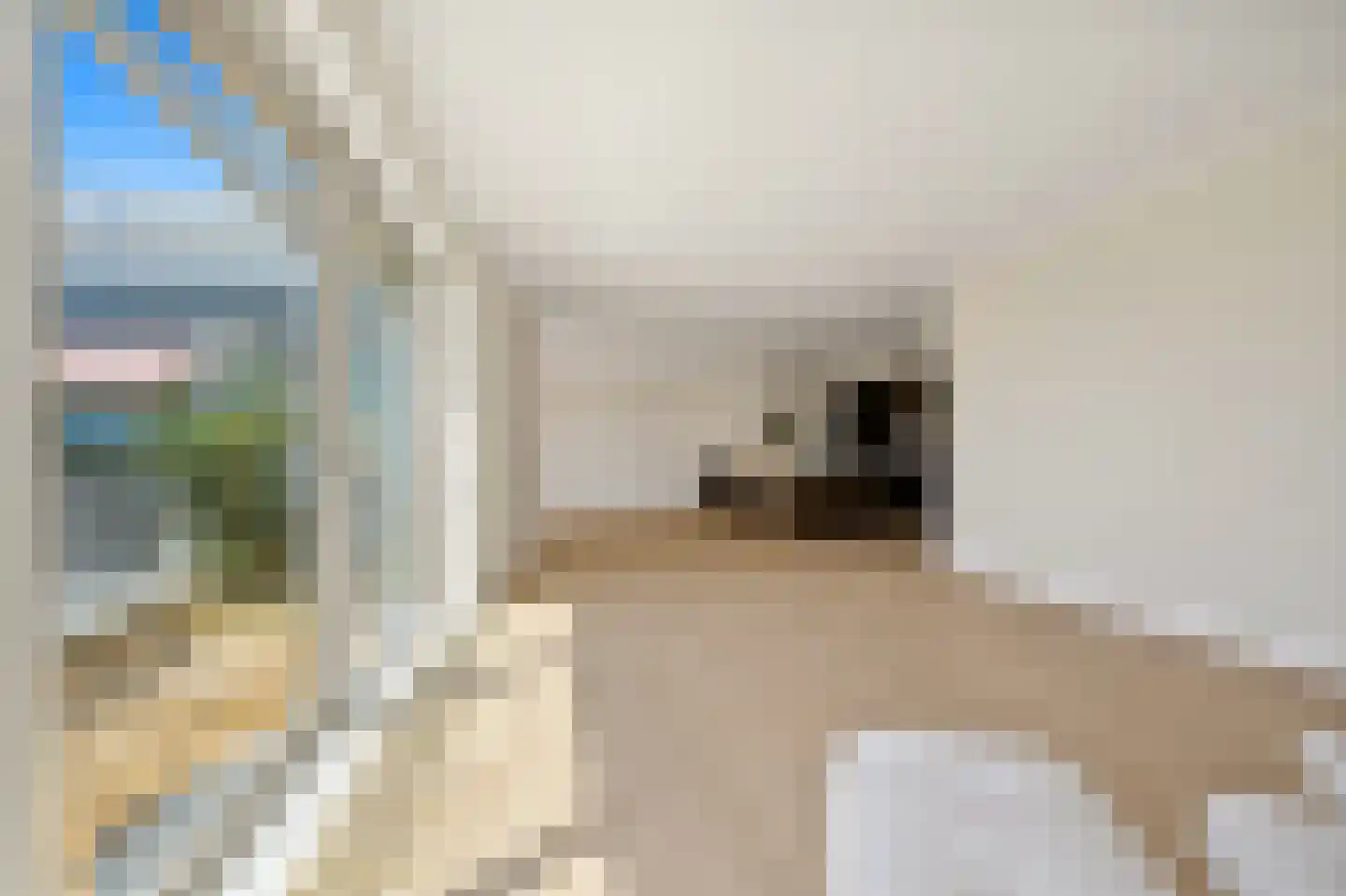 Cees Laseurlaan 107 Den Haag thumbnail 16