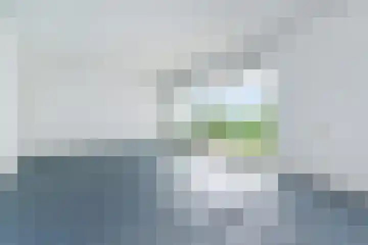 Cees Laseurlaan 107 Den Haag thumbnail 5