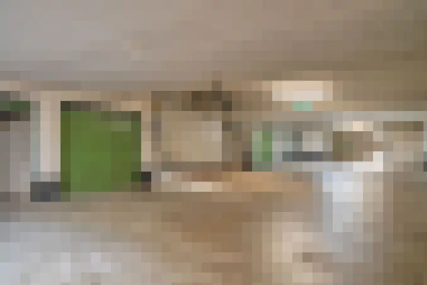 Cees Laseurlaan 1127 Den Haag thumbnail 29