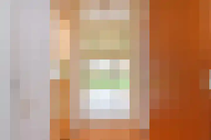 Cees Laseurlaan 1131 Den Haag thumbnail 15