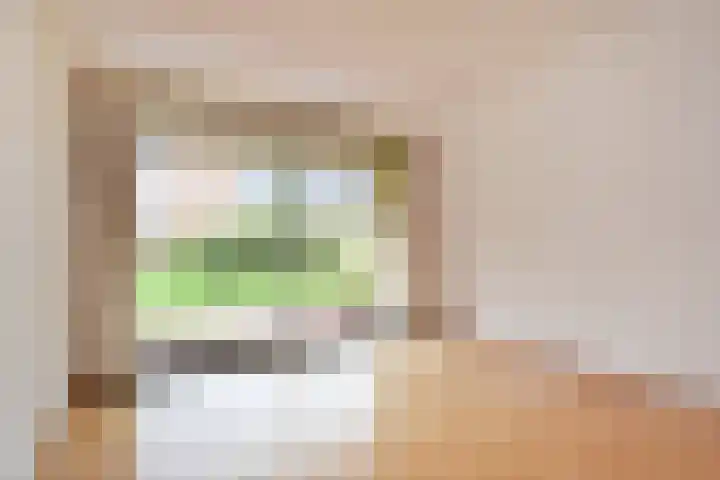 Cees Laseurlaan 1131 Den Haag thumbnail 17