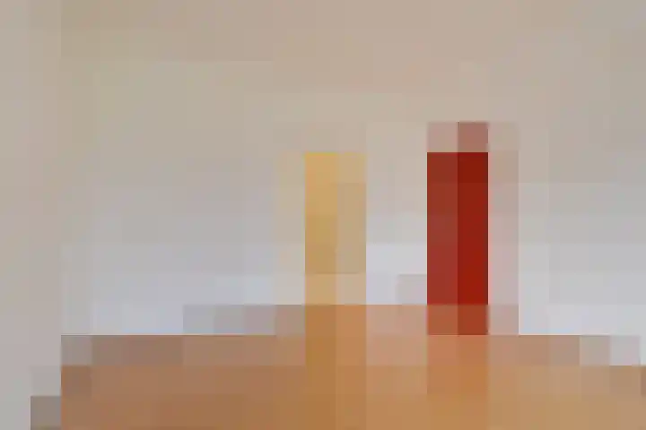 Cees Laseurlaan 1131 Den Haag thumbnail 20