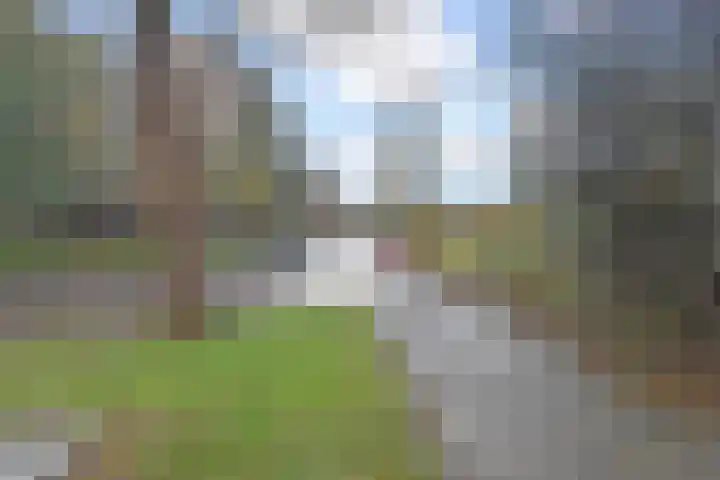 Cees Laseurlaan 1131 Den Haag thumbnail 37