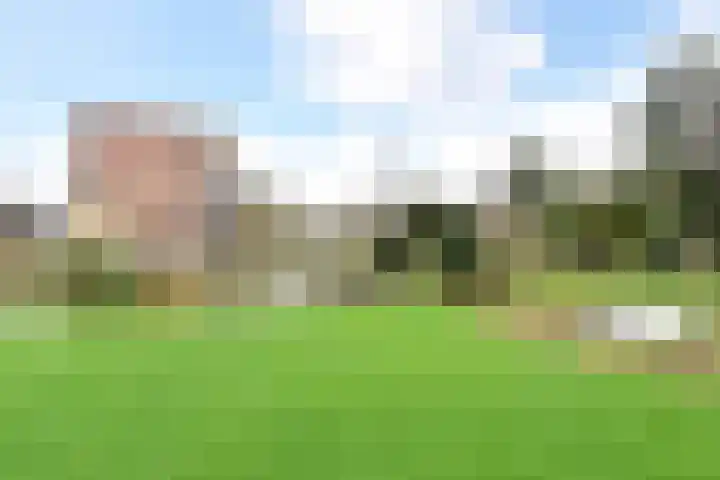 Cees Laseurlaan 1131 Den Haag thumbnail 4