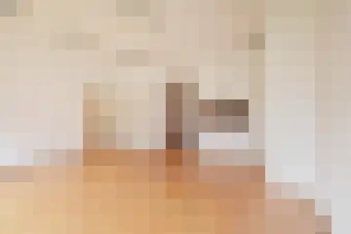 Cees Laseurlaan 1131 Den Haag thumbnail 6