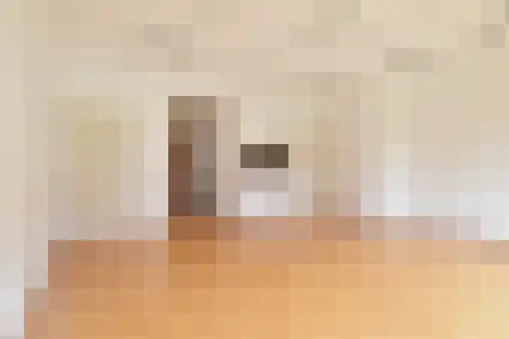 Cees Laseurlaan 1131 Den Haag thumbnail 7