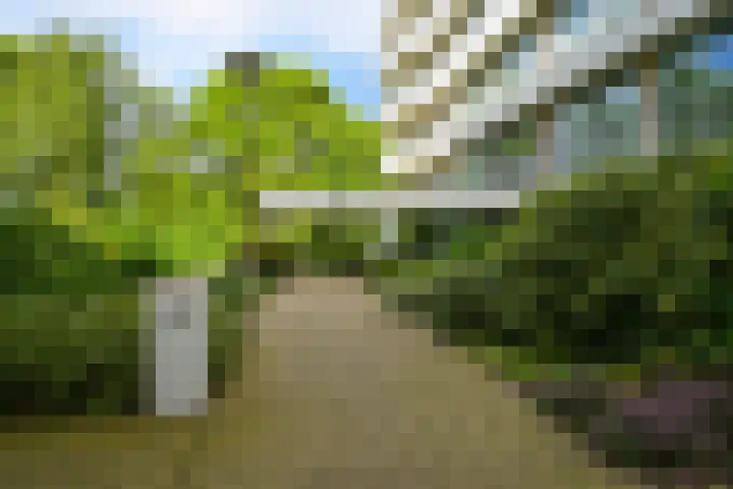 Cees Laseurlaan 159 Den Haag thumbnail 48