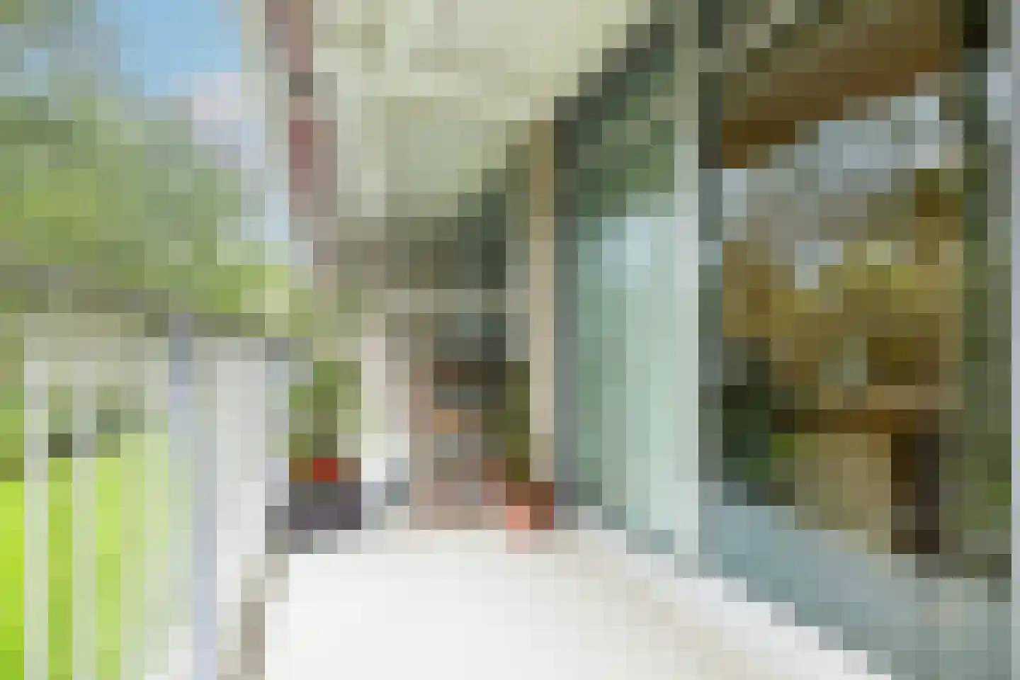 Cees Laseurlaan 167 Den Haag thumbnail 15