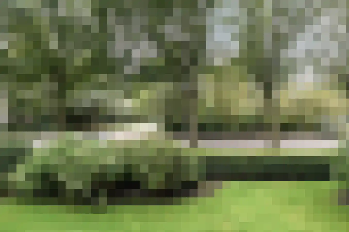 Cees Laseurlaan 167 Den Haag thumbnail 19