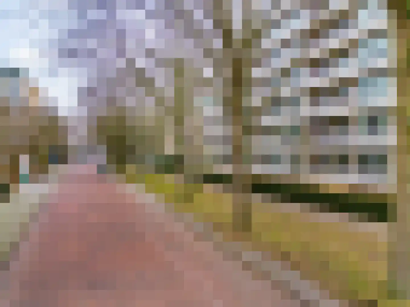 Cees Laseurlaan 231 Den Haag thumbnail 27