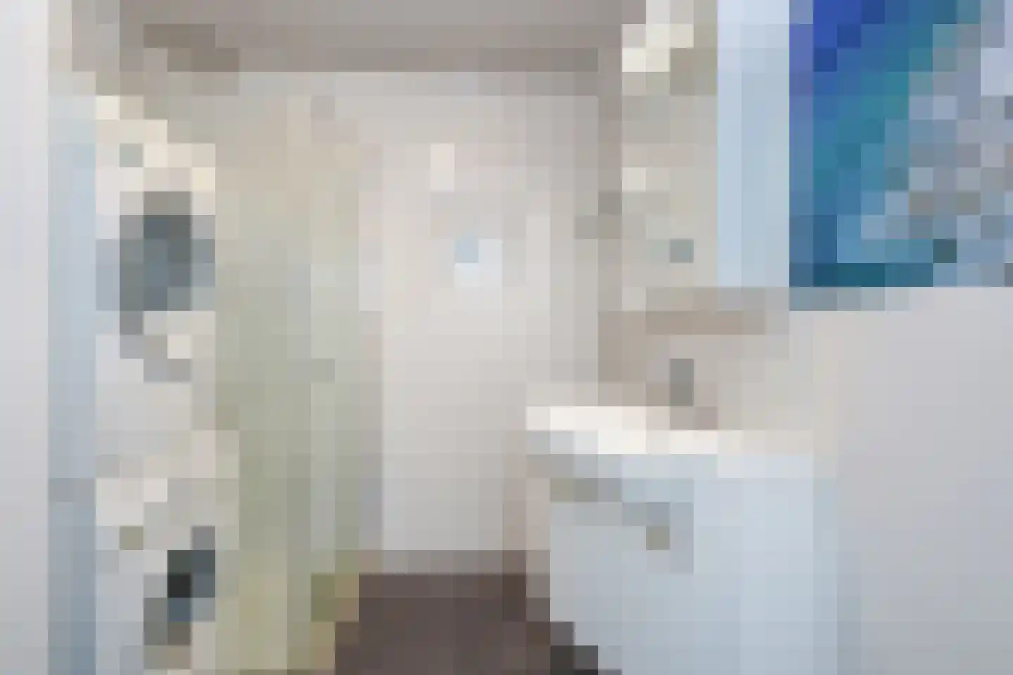 Cees Laseurlaan 233 Den Haag thumbnail 18