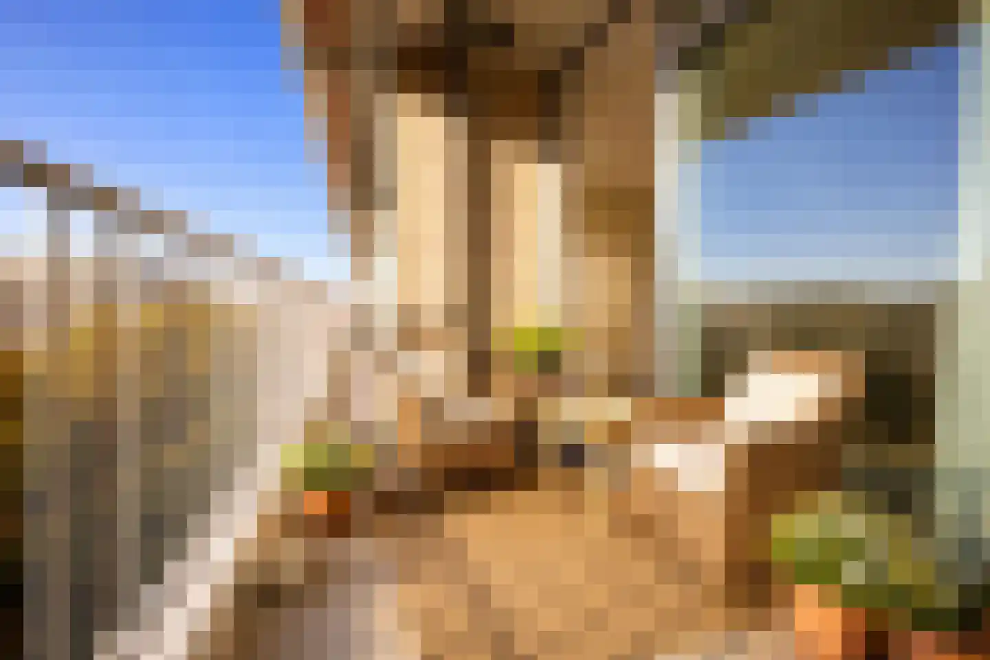 Cees Laseurlaan 233 Den Haag thumbnail 4