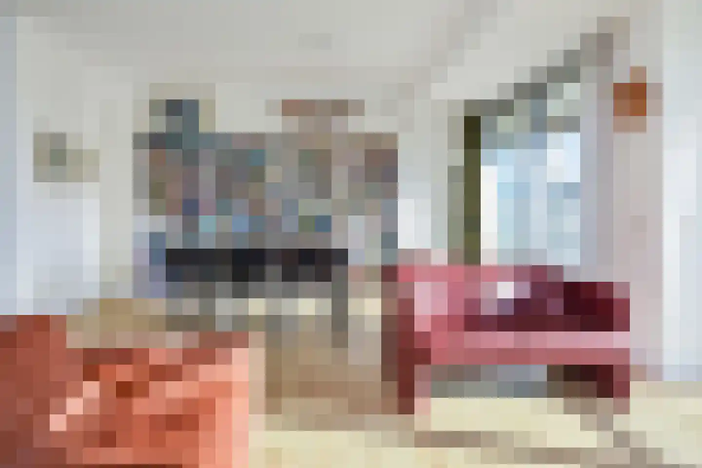 Cees Laseurlaan 233 Den Haag thumbnail 8