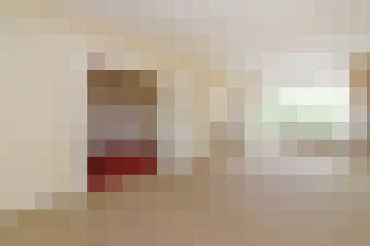 Cees Laseurlaan 295 Den Haag thumbnail 12