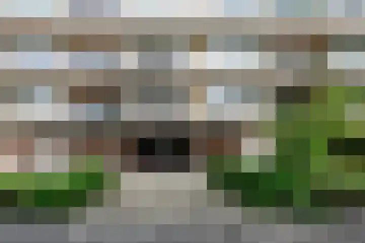 Cees Laseurlaan 295 Den Haag thumbnail 6