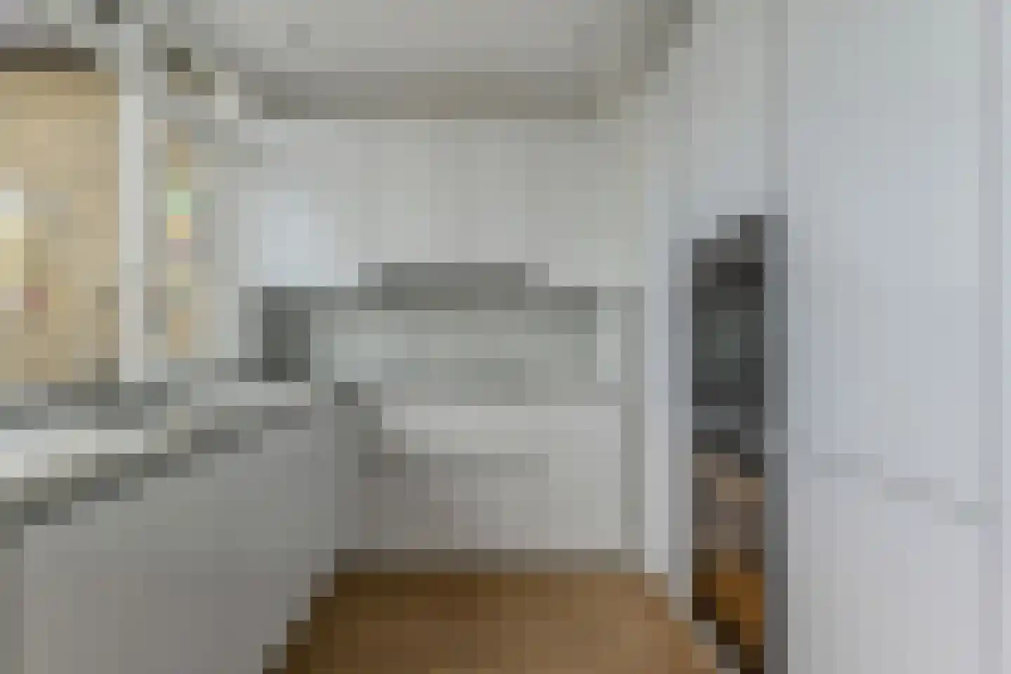 Cees Laseurlaan 347 Den Haag thumbnail 8