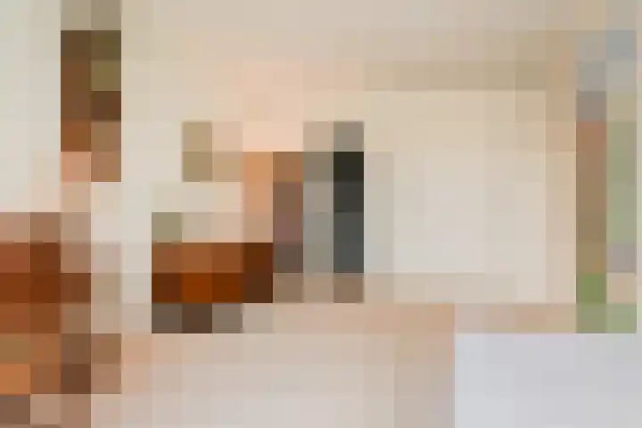 Cees Laseurlaan 75 Den Haag thumbnail 24
