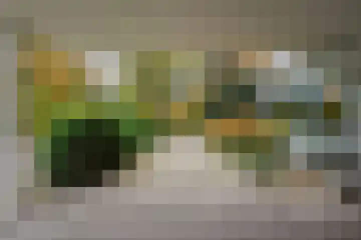 Cees Laseurlaan 75 Den Haag thumbnail 46