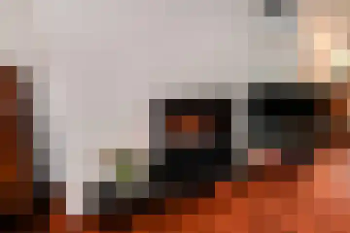Cees Laseurlaan 75 Den Haag thumbnail 5