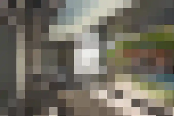 Cees Laseurstraat 22 Hengelo thumbnail 36
