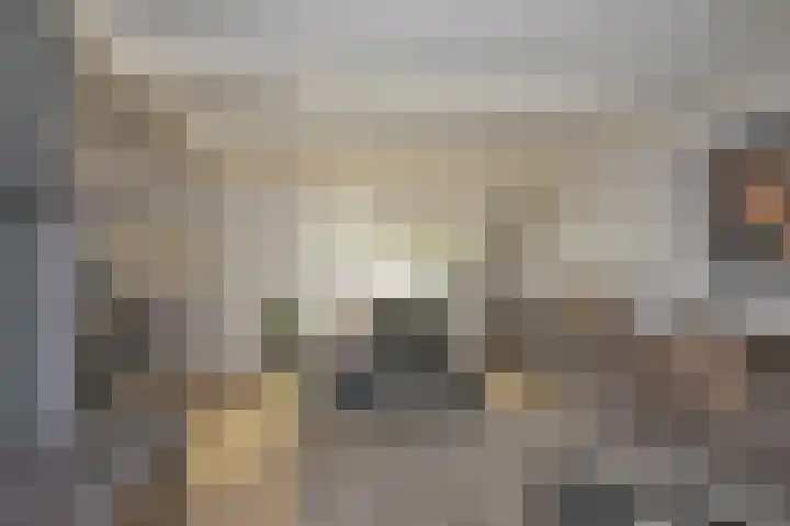 Cees Laseurstraat 22 Hengelo thumbnail 8