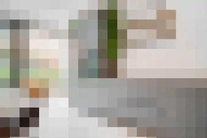 Cees Sipkeslaan 340 Diemen thumbnail 11