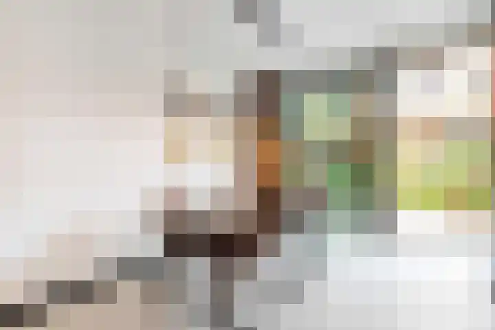 Cees Sipkeslaan 340 Diemen thumbnail 14