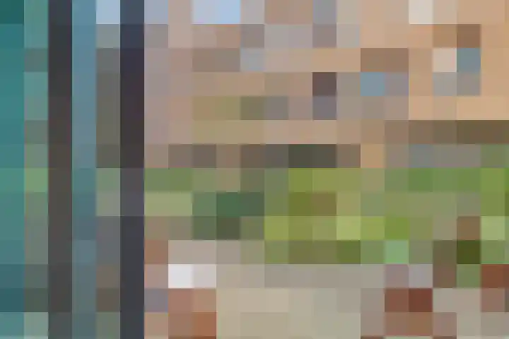 Cees Sipkeslaan 340 Diemen thumbnail 16