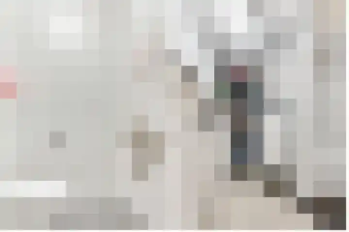 Cees Sipkeslaan 340 Diemen thumbnail 18