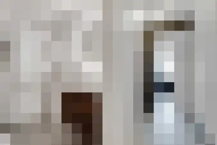 Cees Sipkeslaan 340 Diemen thumbnail 22