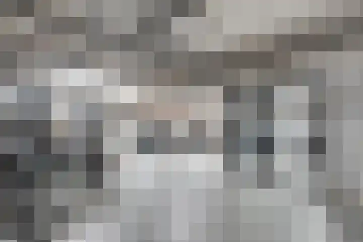 Cees Sipkeslaan 340 Diemen thumbnail 35