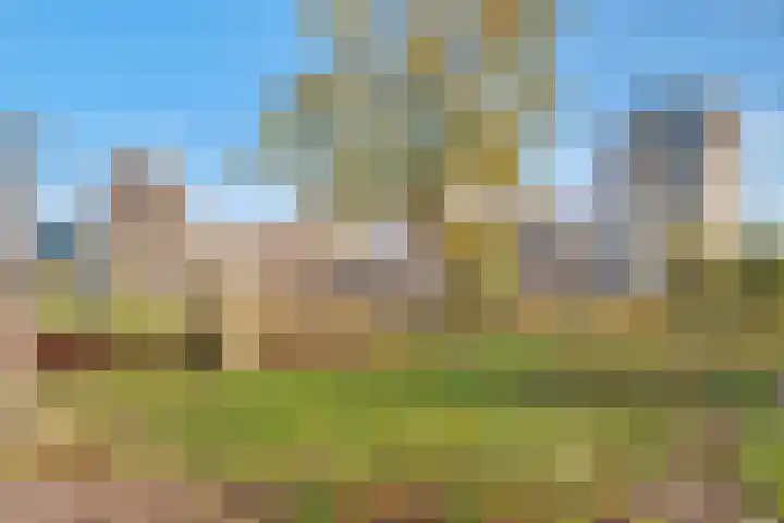 Cees Sipkeslaan 340 Diemen thumbnail 38