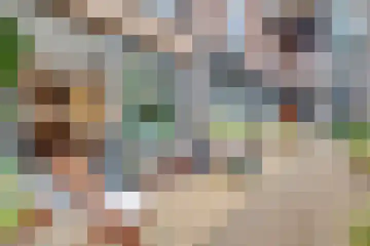 Cees Sipkeslaan 340 Diemen thumbnail 5