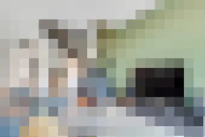 Cees Sipkeslaan 340 Diemen thumbnail 8