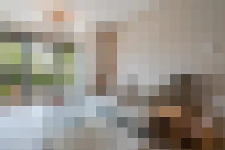 Cees Sipkeslaan 344 Diemen thumbnail 10
