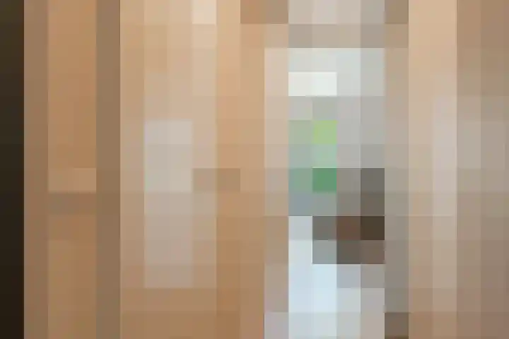 Cees Sipkeslaan 344 Diemen thumbnail 15