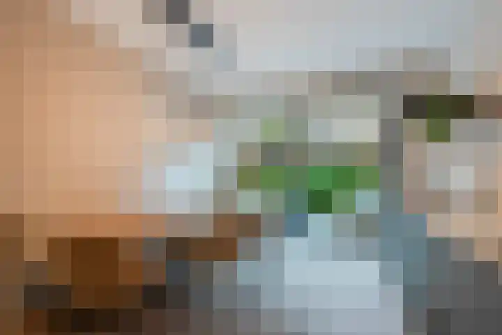 Cees Sipkeslaan 344 Diemen thumbnail 19