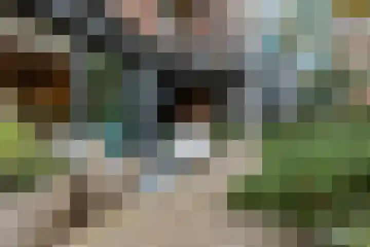 Cees Sipkeslaan 344 Diemen thumbnail 29