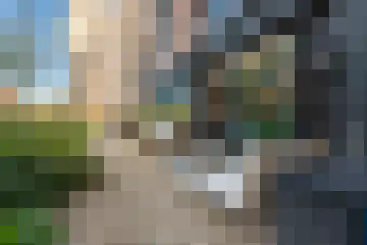 Cees Sipkeslaan 344 Diemen thumbnail 30