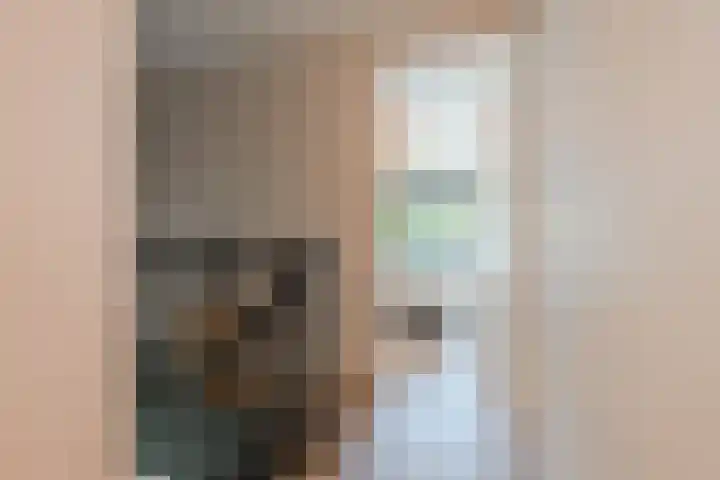 Cees Sipkeslaan 344 Diemen thumbnail 31